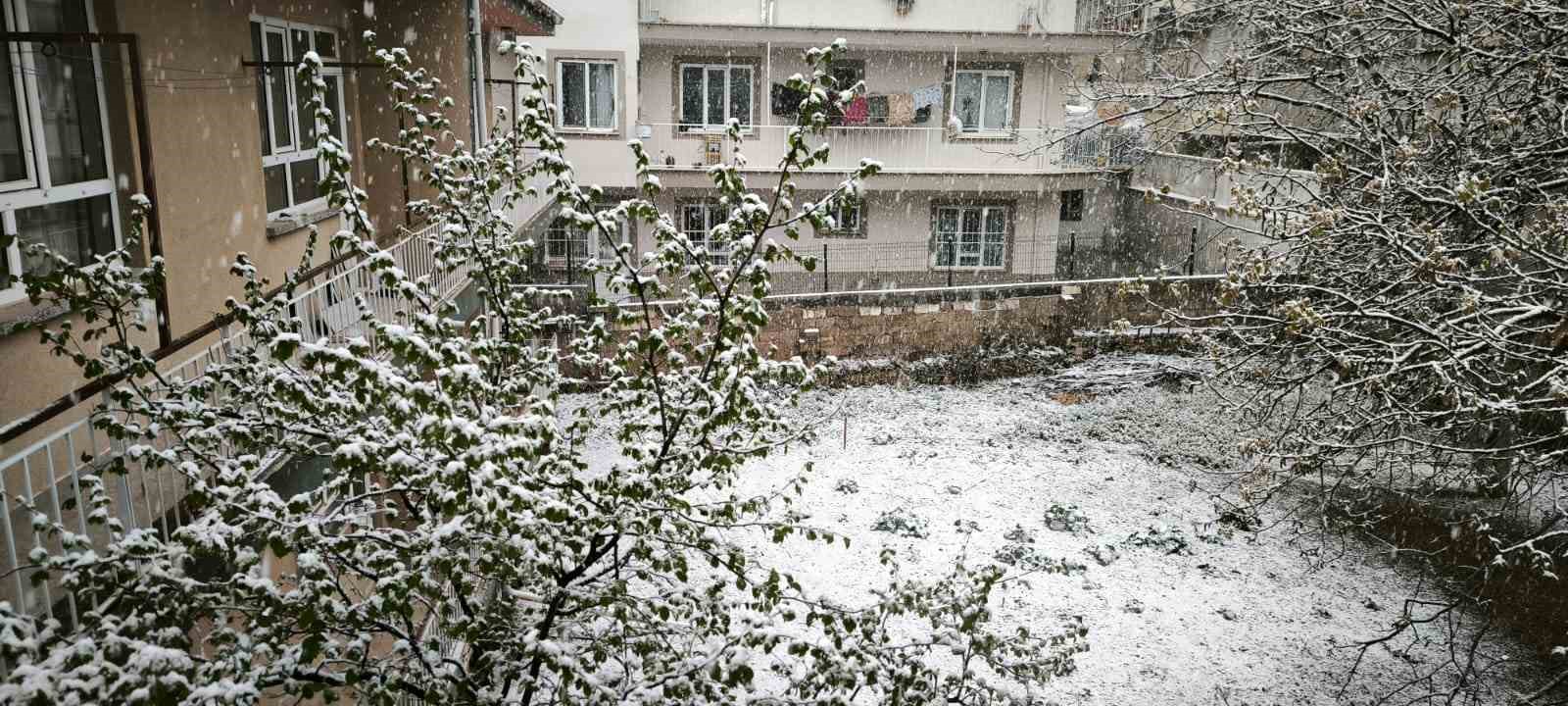 Denizli’ye Nisan ayında kar bereketi