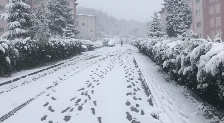 Bilecik’teki kar bazı köy yollarını ulaşıma kapattı