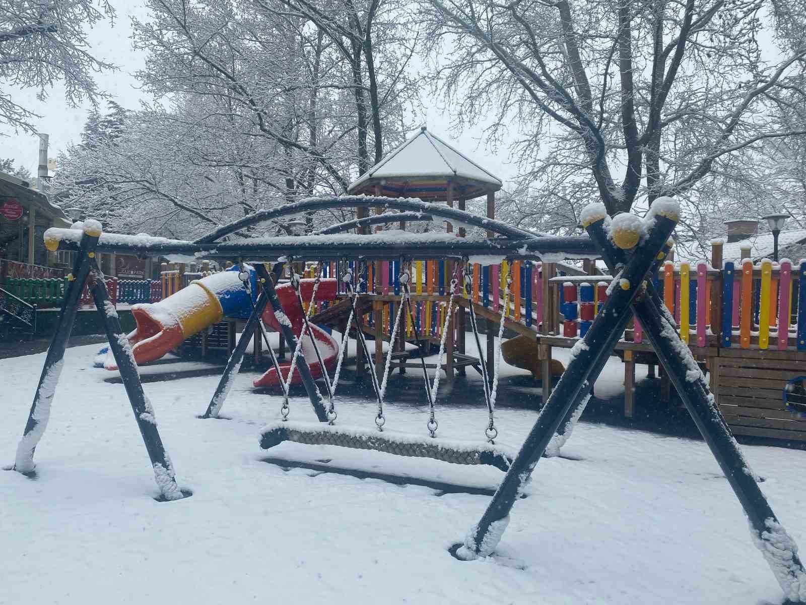 Ankara’da açan çiçeklerin üzerine kar yağdı