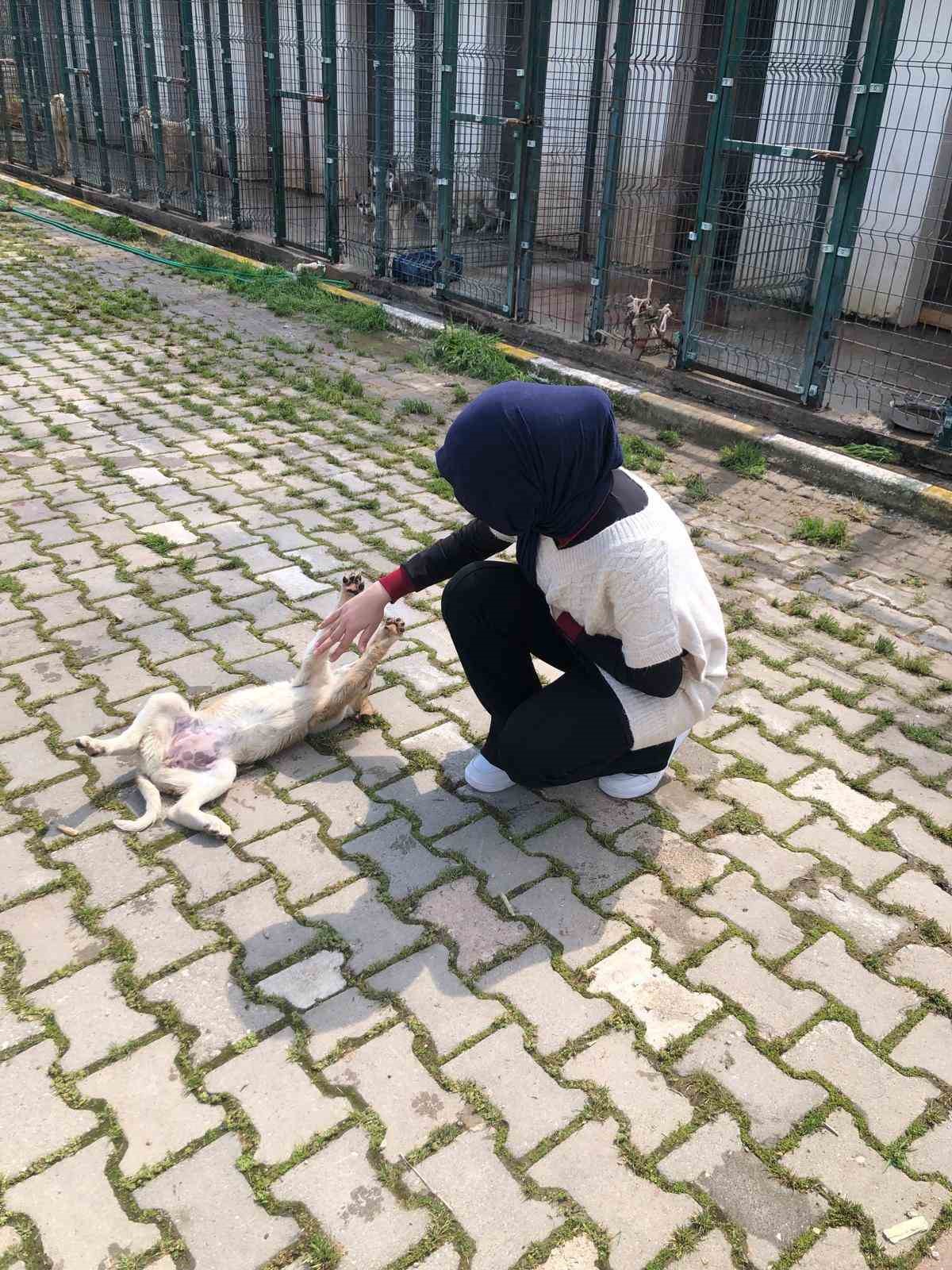 İmam hatip &ouml;ğrencileri E-twinning projesi kapsamında hayvan barınağını ziyaret etti
