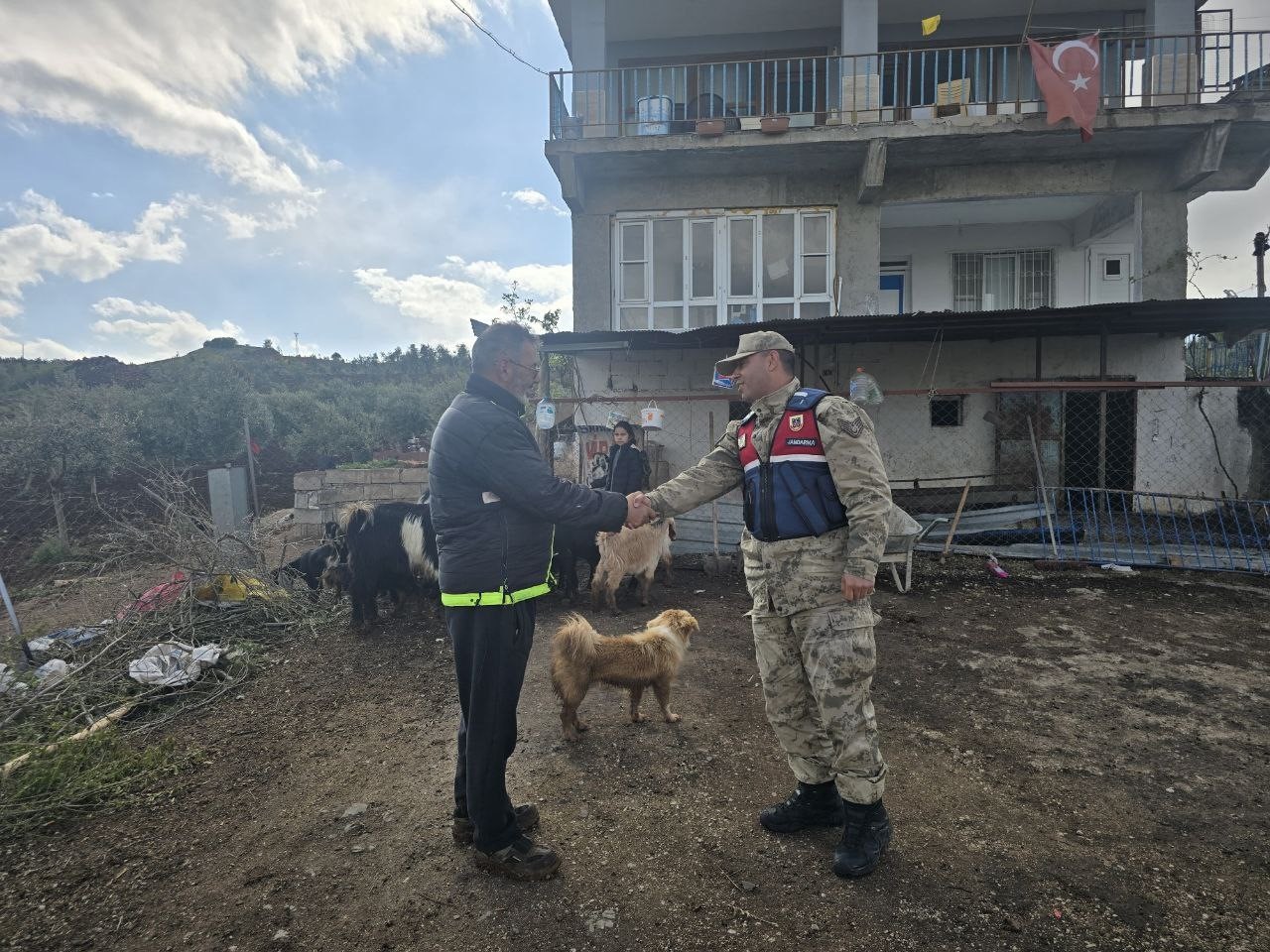 Kilis’te kayıp 26 küçükbaş hayvan ormanlık alanda bulundu