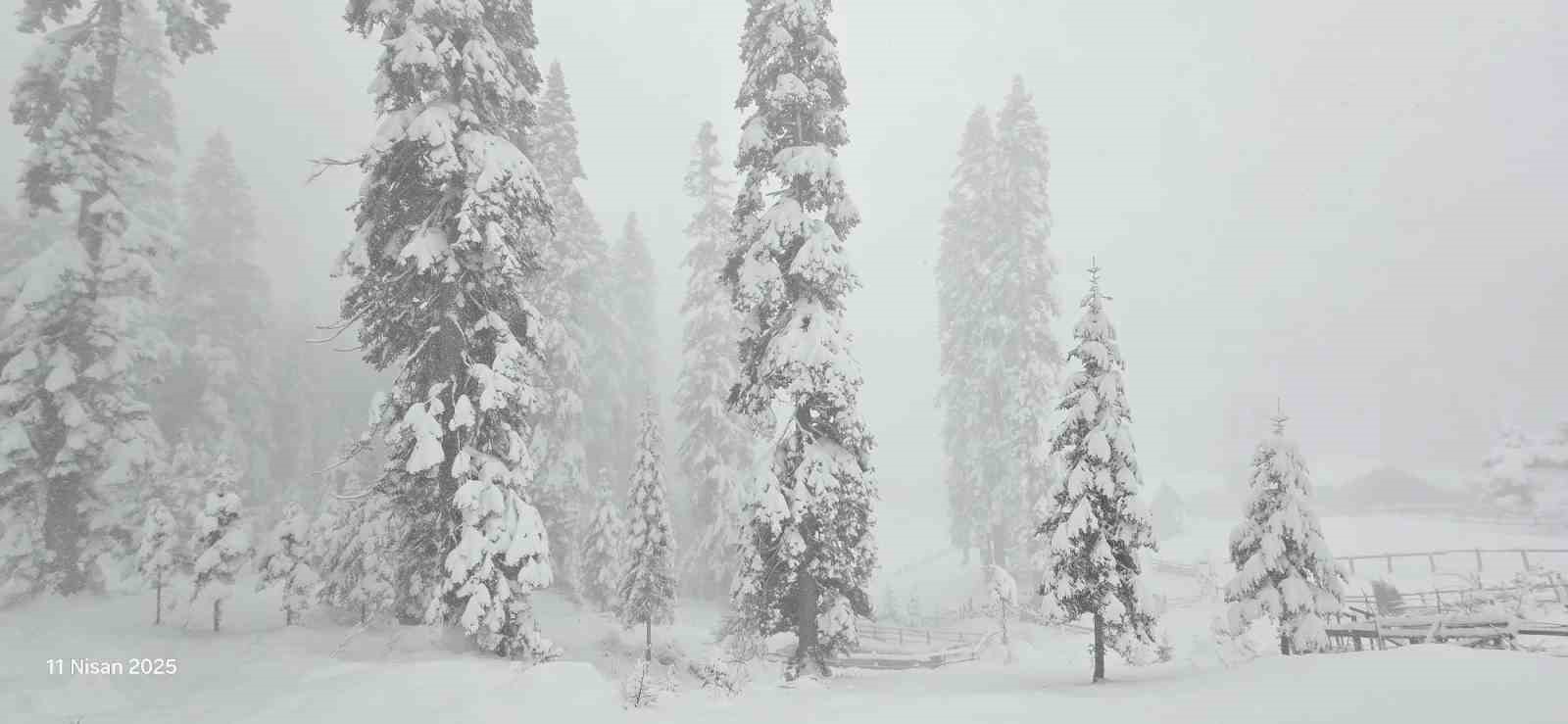 D&uuml;zce&rsquo;nin y&uuml;ksek kesimlerinde kar kalınlığı 50 santimetreye ulaştı

