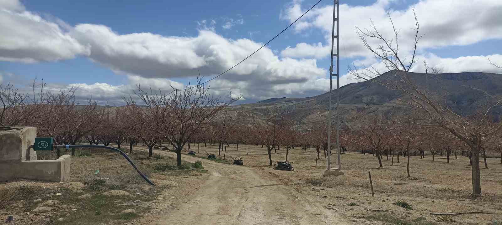 Bahçelerde ateş yakıldı, meyve üreticileri zirai don tehlikesine önlem aldı