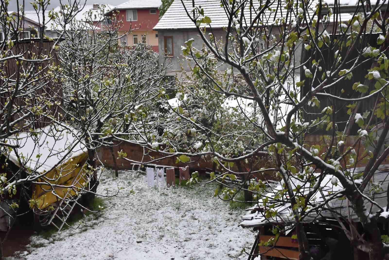 Y&uuml;ksek kesimlerde etkili olan kar Hendek il&ccedil;e merkezine kadar indi
