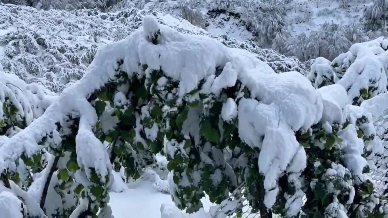 Zonguldak’ın yüksek kesimlerinde kar etkili oldu