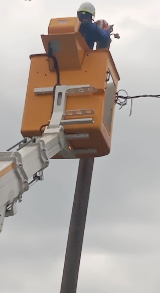 Elektrik direğinde mahsur kalan kedi kurtarıldı