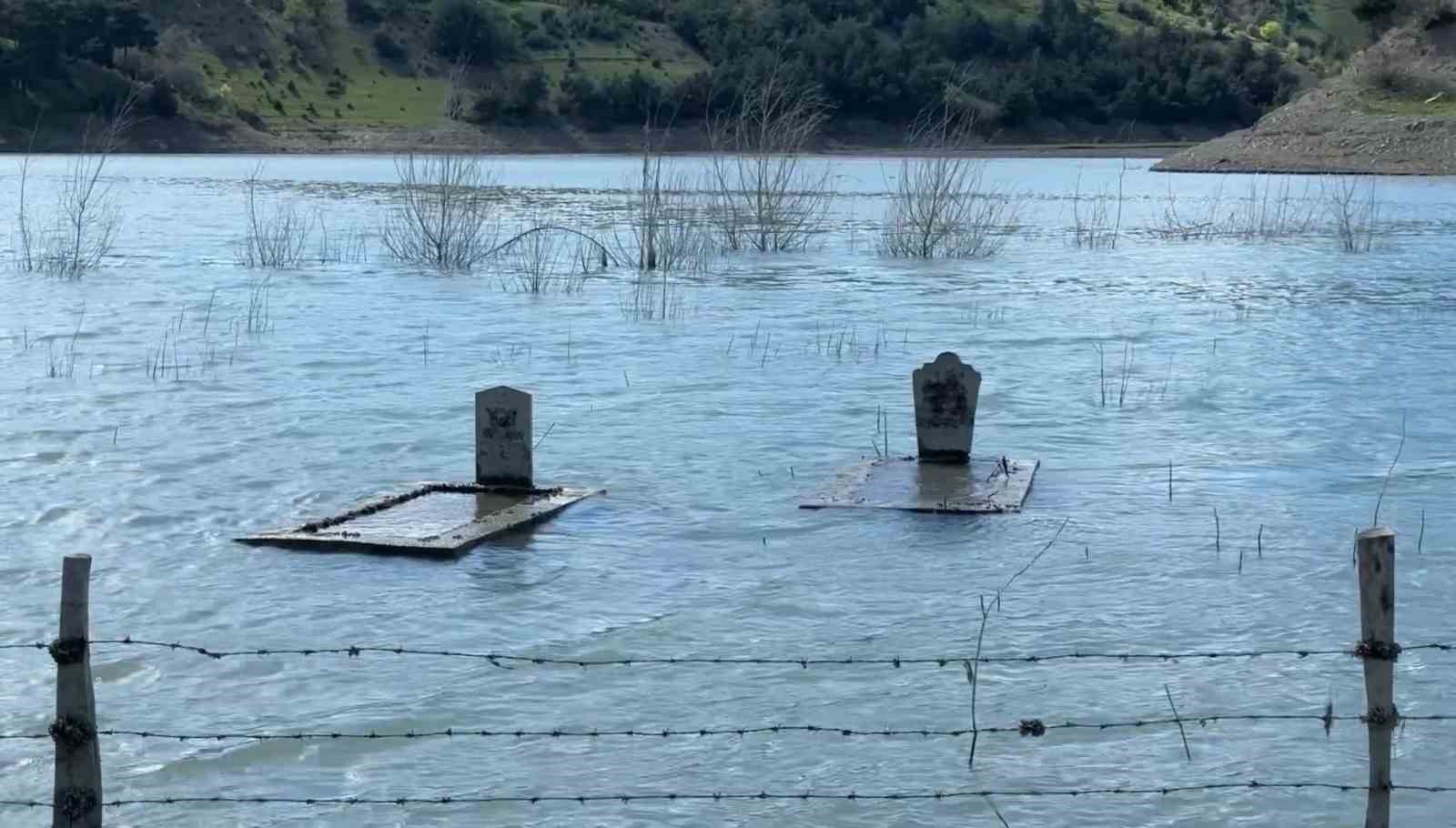 Samsun’da ilginç görüntüler: Su altında kalmış mezarlar, binlerce balık yavrusu