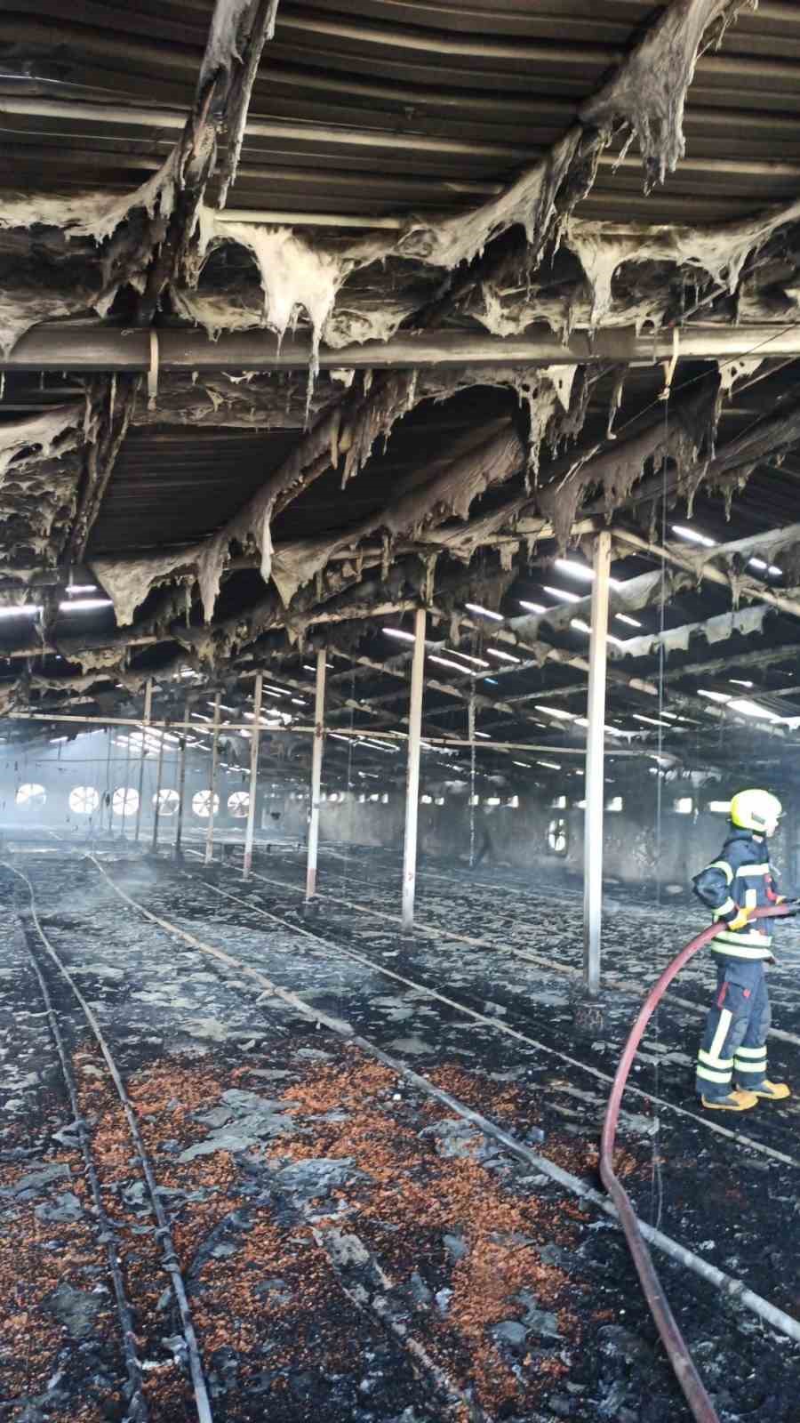 Tarsus’ta tavuk çiftliğinde yangın
