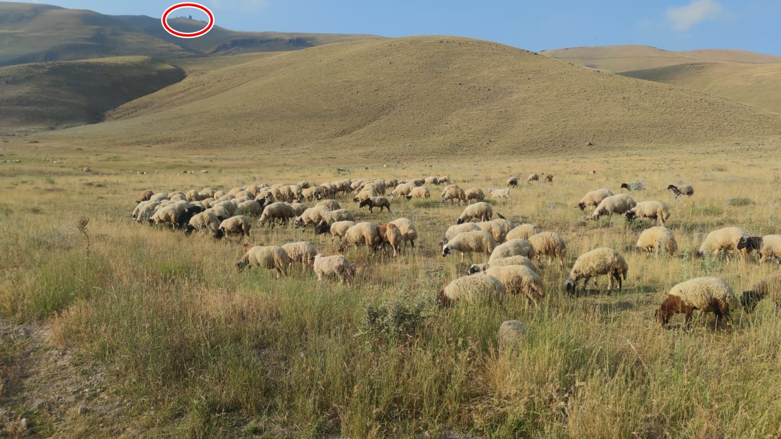 NATO’ya ait radar üssündeki küre fırtına nedeniyle yerinden söküldü