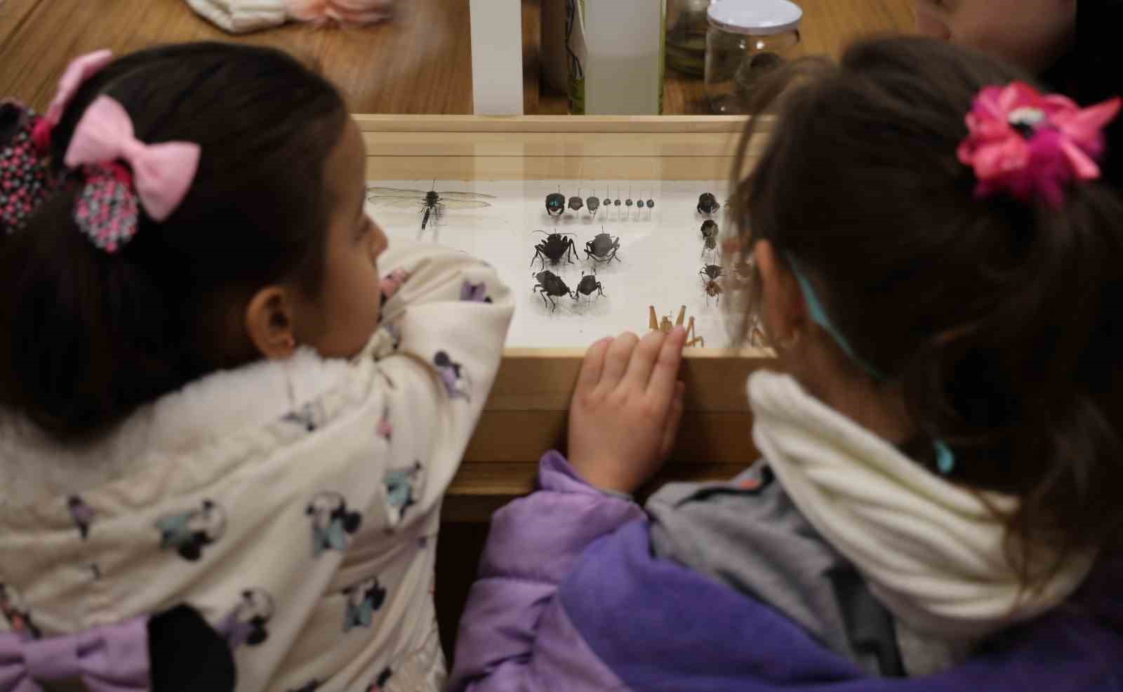 Minik &ouml;ğrenciler b&ouml;cekleri inceledi
