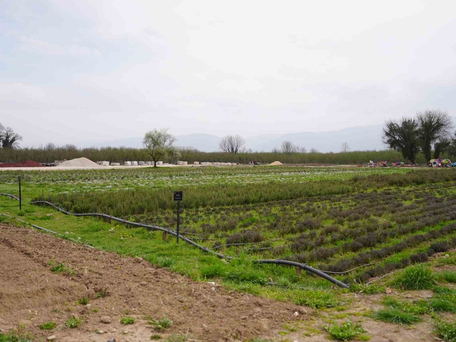 Tarım akademisi &ouml;ğrencilerin uygulama sahası olacak

