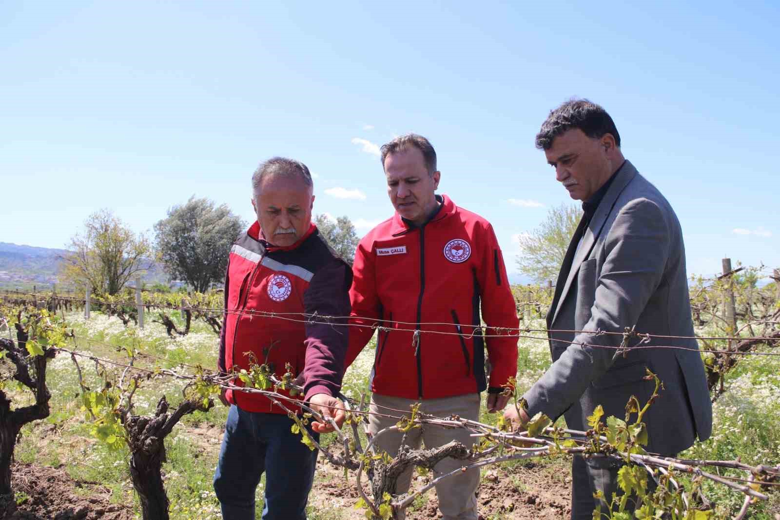 Turgutlu’da yetkililer sahada don vuran arazileri inceledi