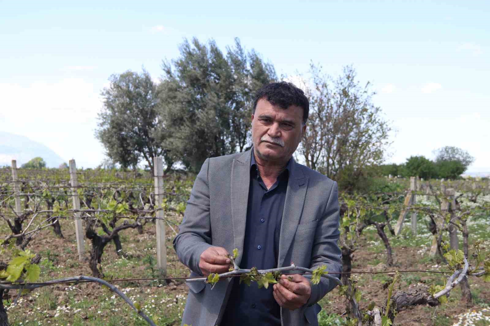 Turgutlu&rsquo;da yetkililer sahada don vuran arazileri inceledi
