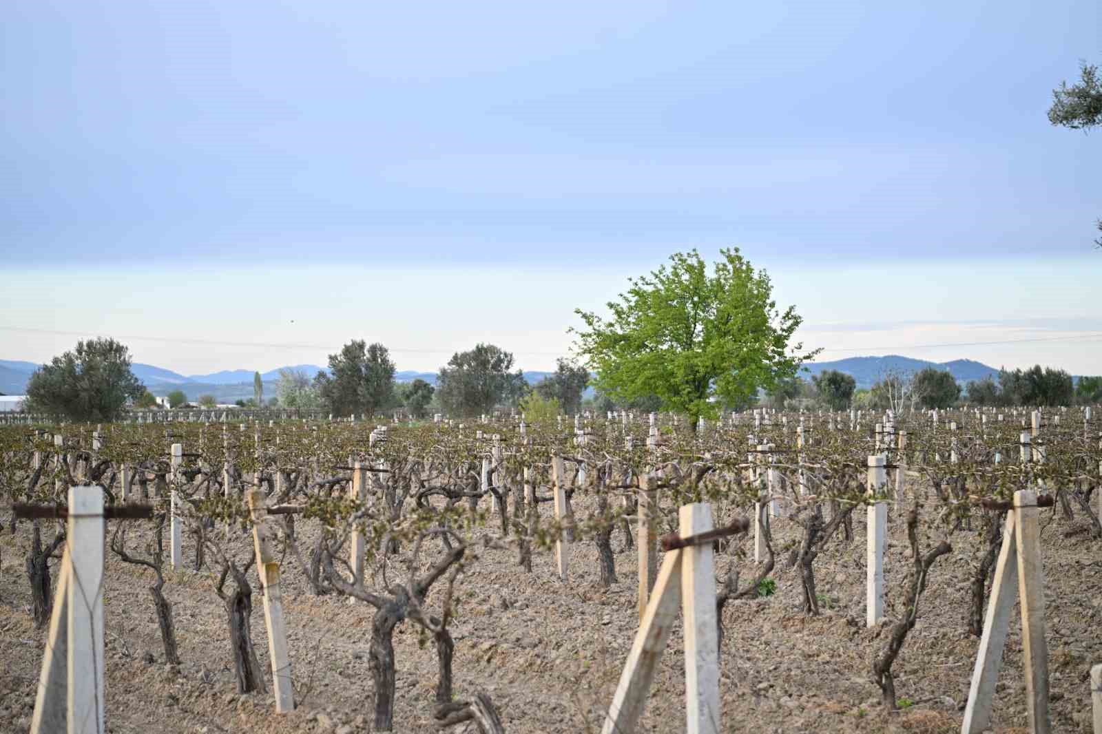 Vali Özkan: "Çiftçilerimizin yanındayız"