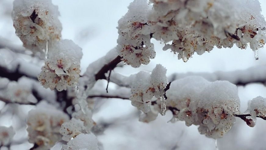 Başkan Er: "Gönlümüzü yakan bir manzarayla karşı karşıyayız"