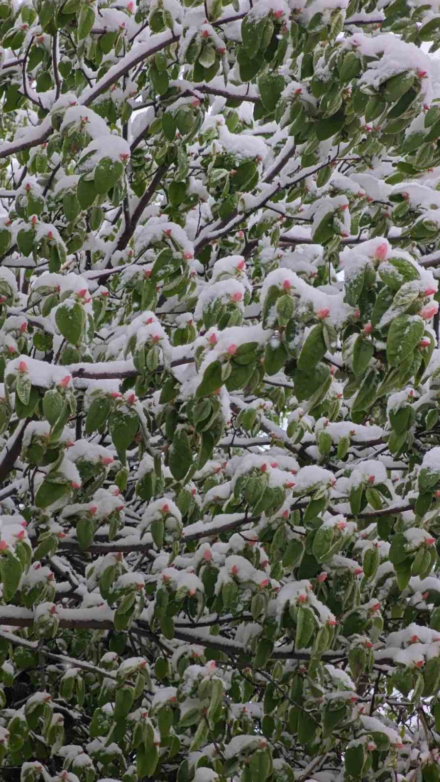 Artvin’de sabah saatlerinde kar sürprizi