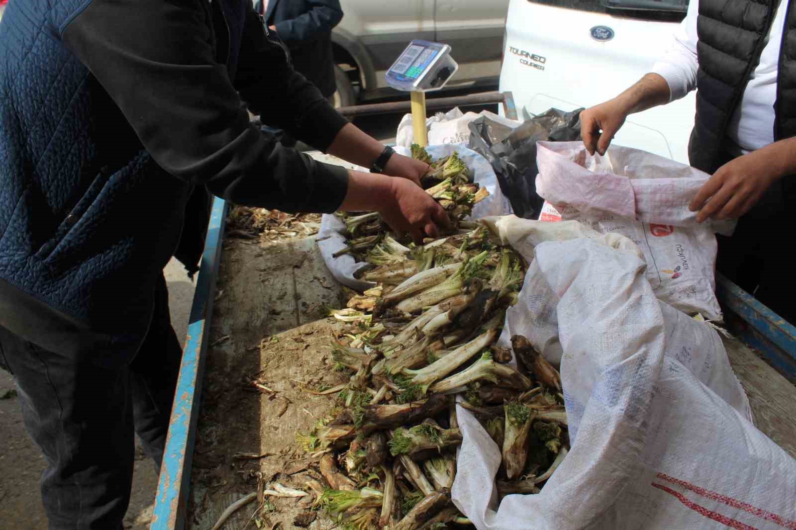 Siirt’te şifa deposu olarak bilinen kenger tezgahlarda yerini aldı