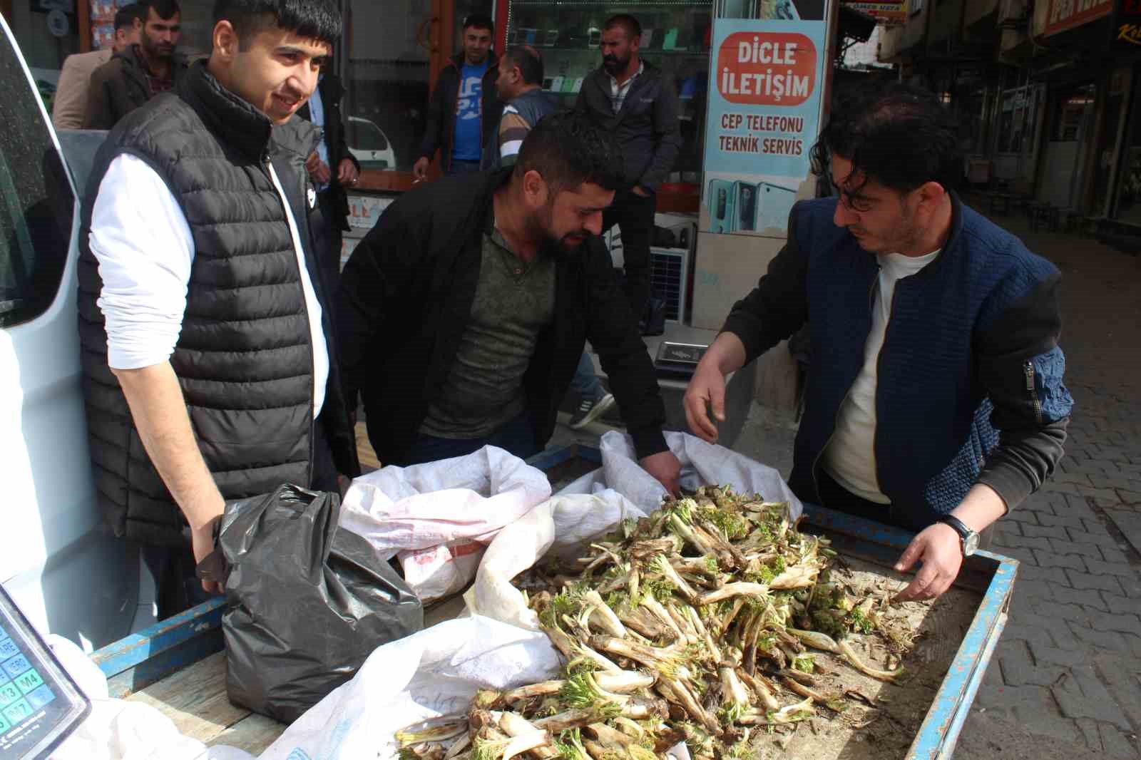 Siirt’te şifa deposu olarak bilinen kenger tezgahlarda yerini aldı