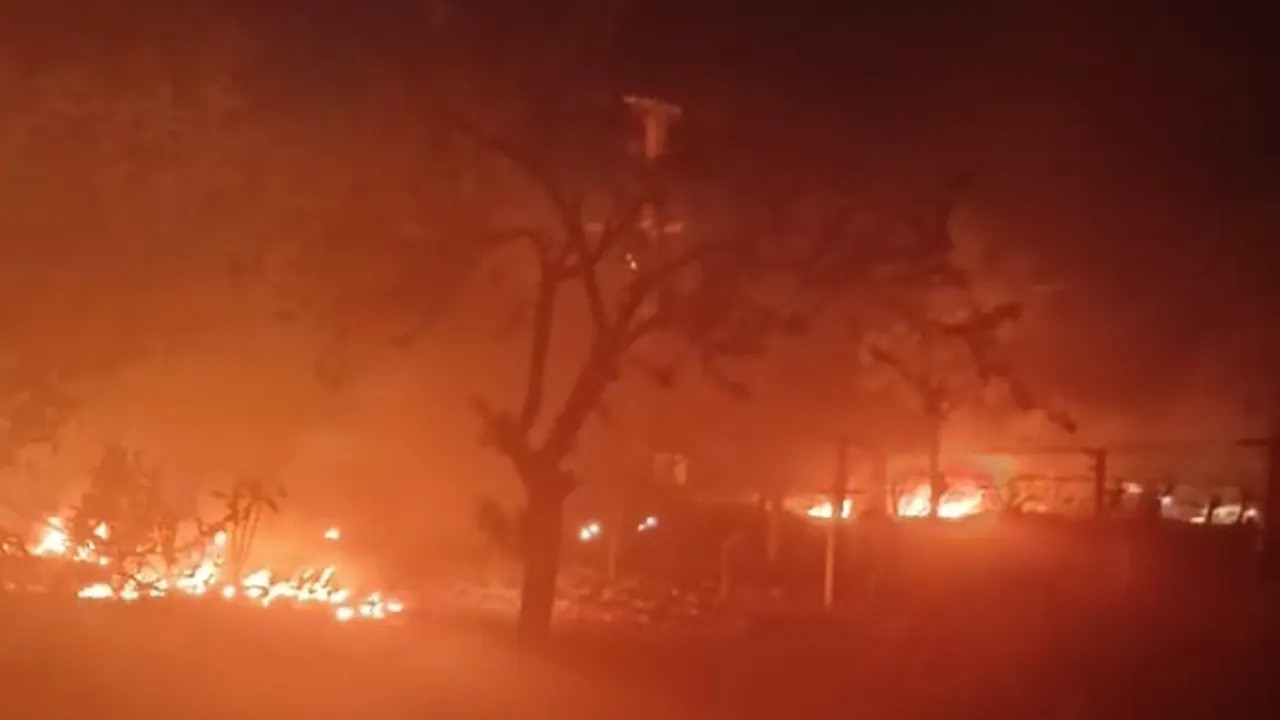 Çiftçiler sabaha kadar ürünlerini korudu