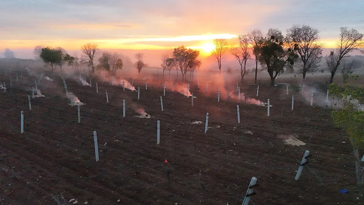 &Ccedil;ift&ccedil;iler sabaha kadar &uuml;r&uuml;nlerini korudu
