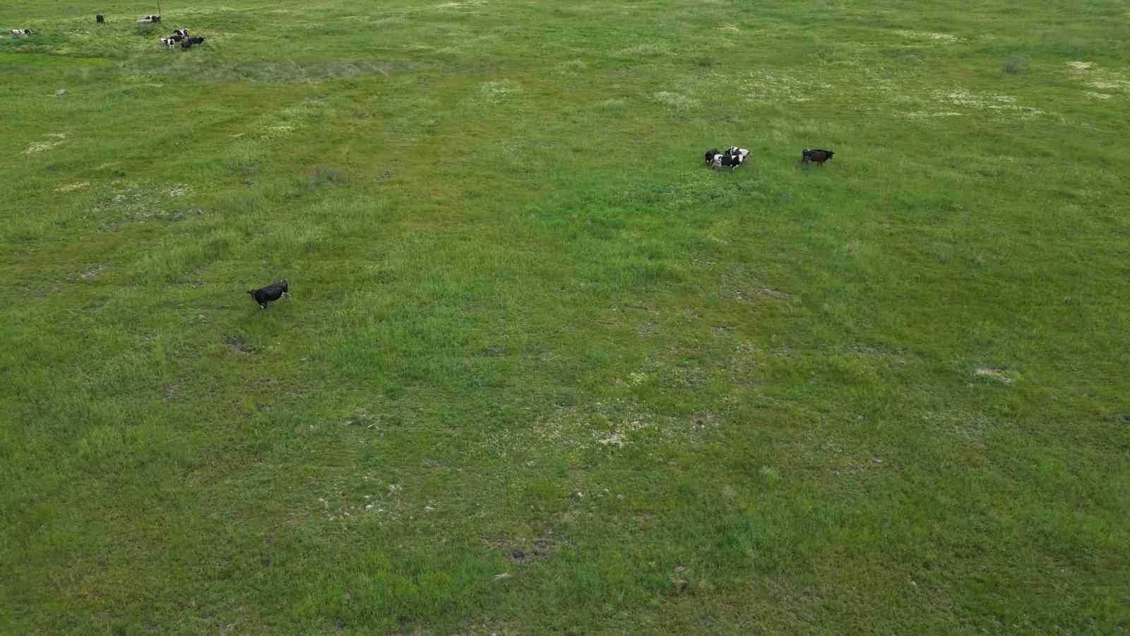 Tarım Bakanlığı’nın desteklediği mera kullanıma açıldı