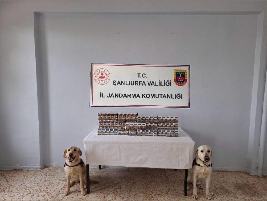 Şanlıurfa’da bin 720 paket kaçak sigara ele geçirildi