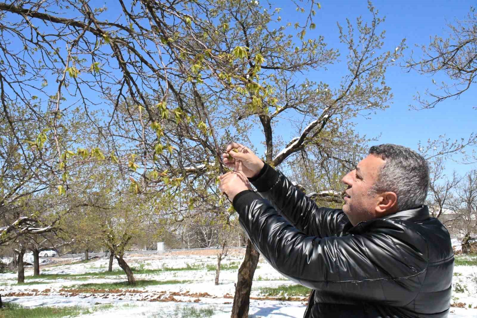 Malatya’da zirai don felaketi