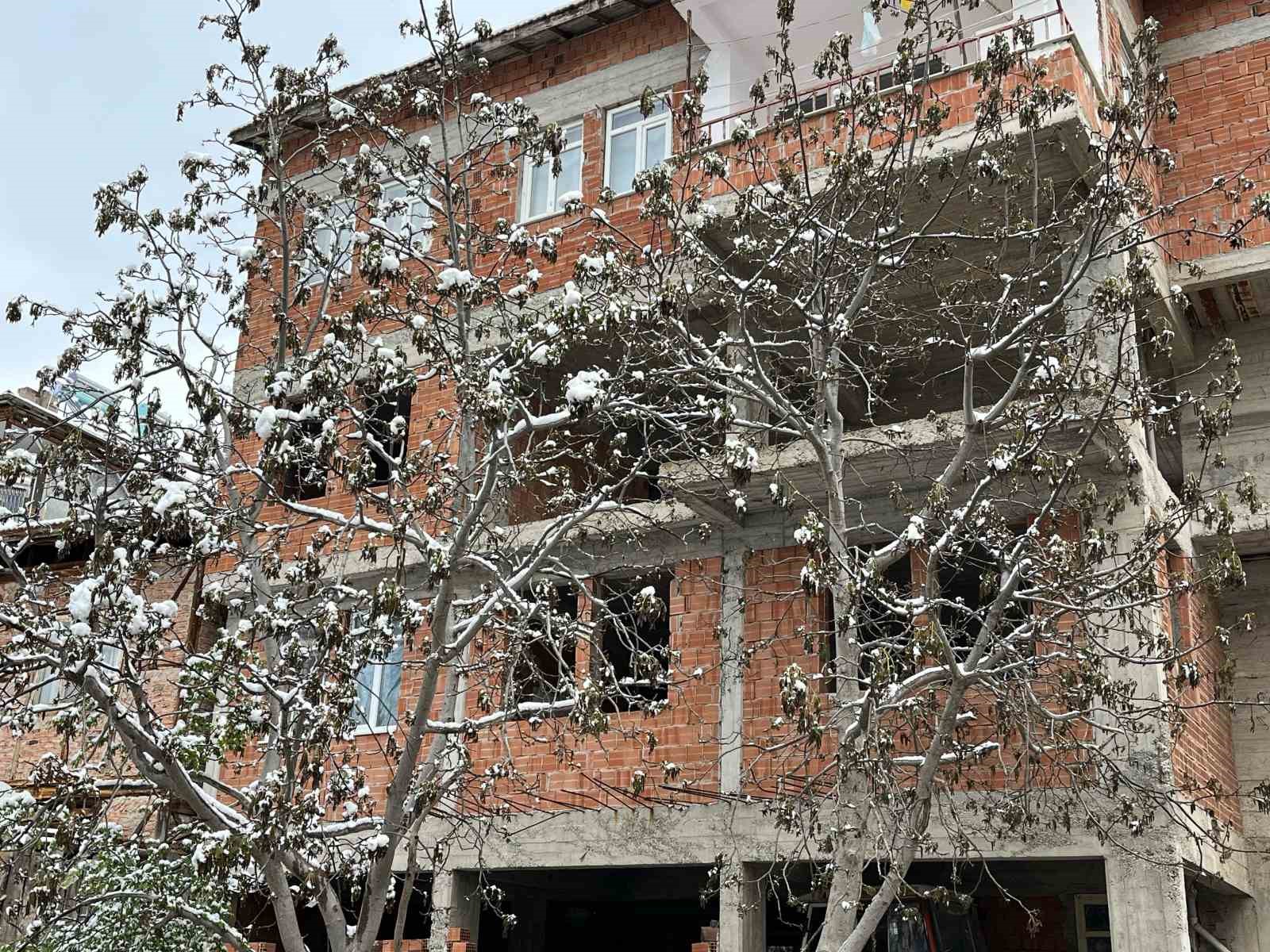 T&uuml;rkiye&rsquo;nin &ouml;nemli ceviz &uuml;retim merkezini zirai don vurdu
