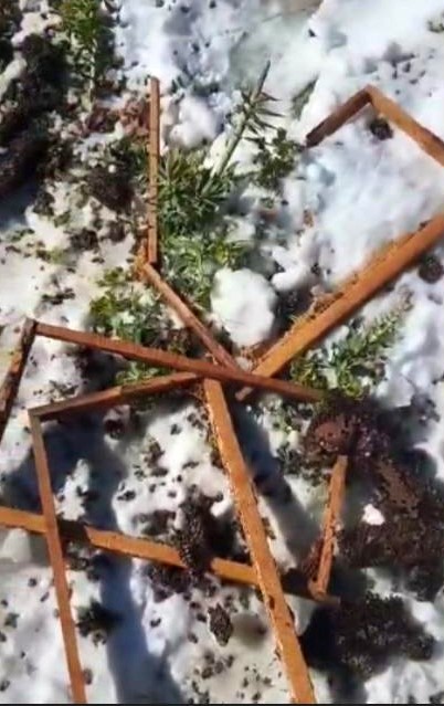 Osmaniye’de aç kalan ayılar, arı kovanlarına saldırdı