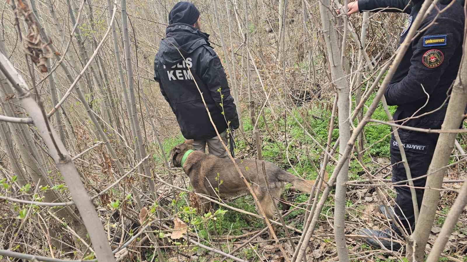 Hakkari’de kayıp kadını arama çalışması devam ediyor