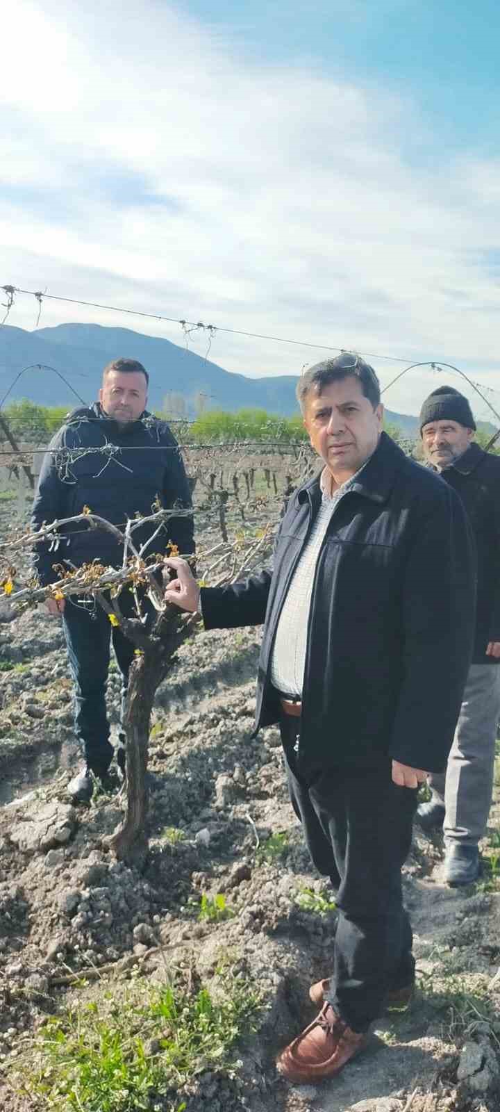 Don afeti Kırkağaçlı çiftçiyi de vurdu