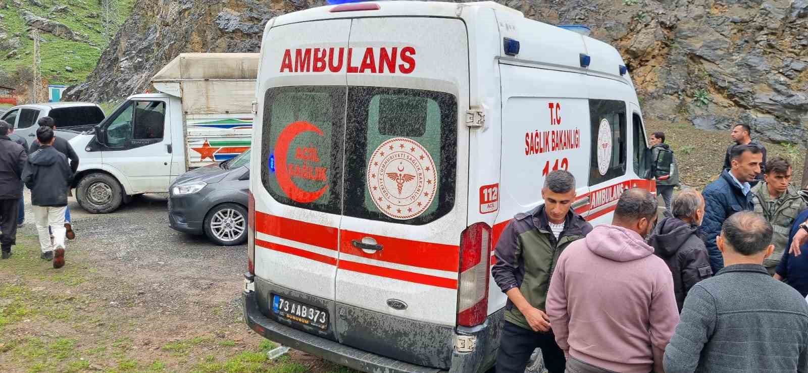 Şırnak’ta araç Habur Çayına devrildi: 2 yaralı