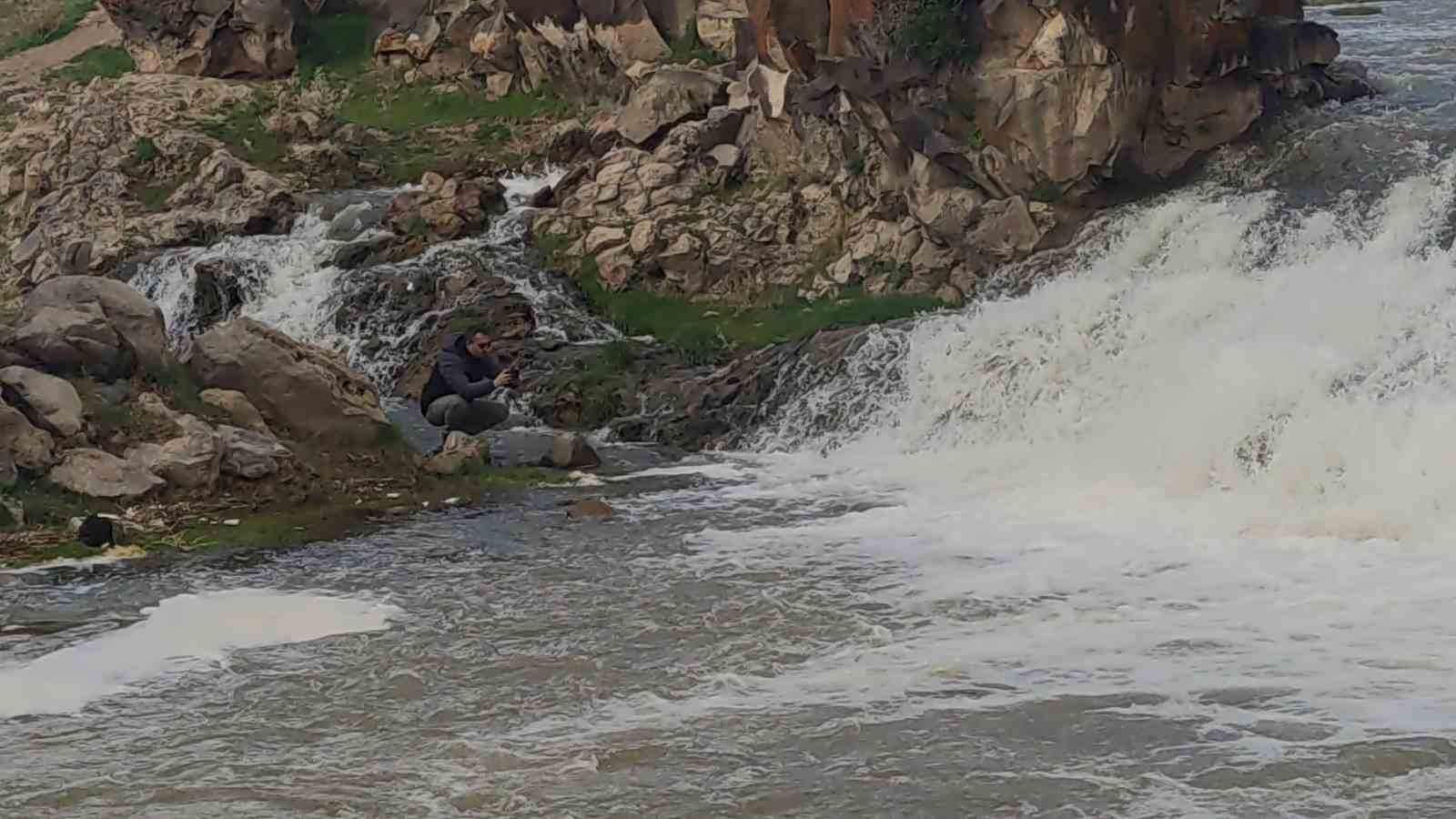İnci kefali balığının avlanma yasağına az kaldı

