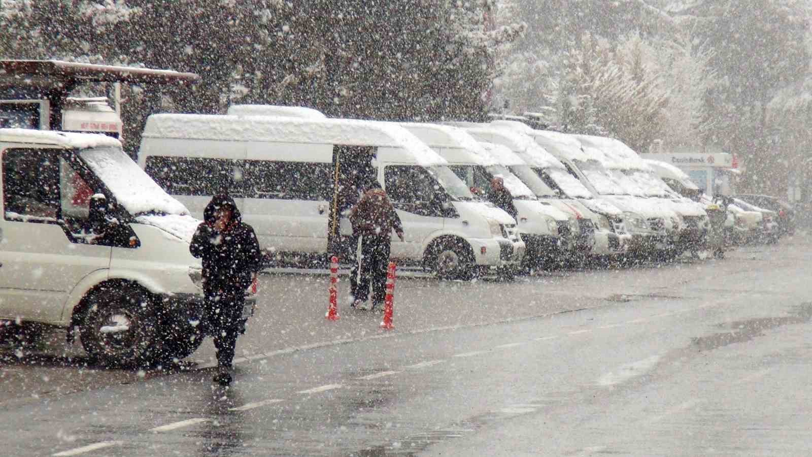 Ahlat&rsquo;ta nisan karı etkili oldu
