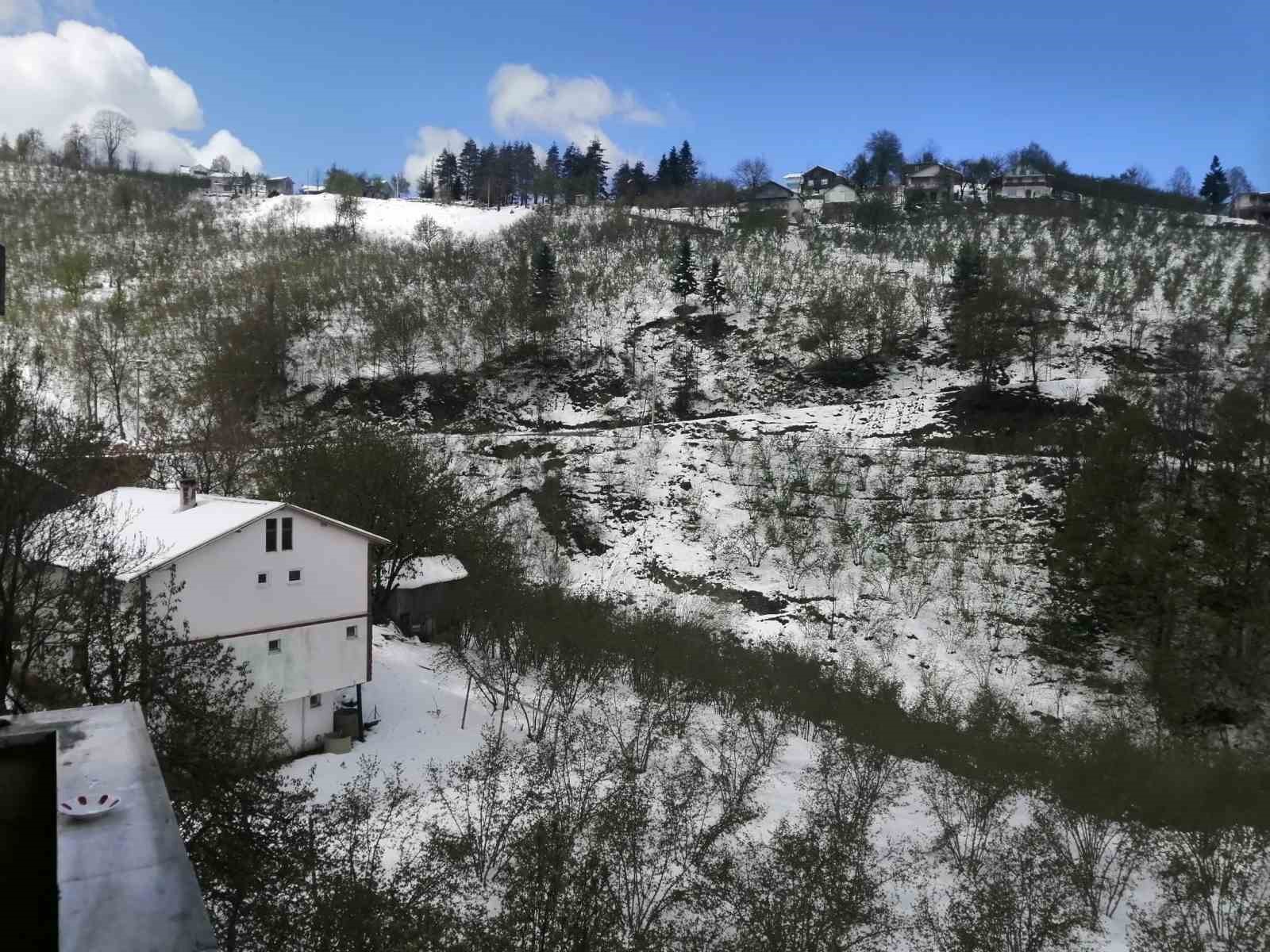 Yeşilin karla buluşması kartpostallık g&ouml;r&uuml;nt&uuml;ler sundu
