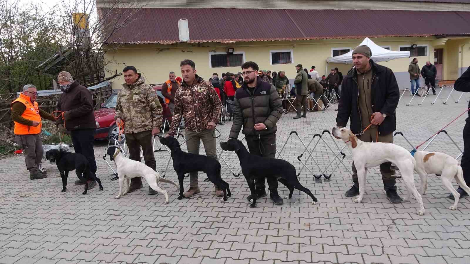 Köpekler en gözde özellikleriyle yarıştı