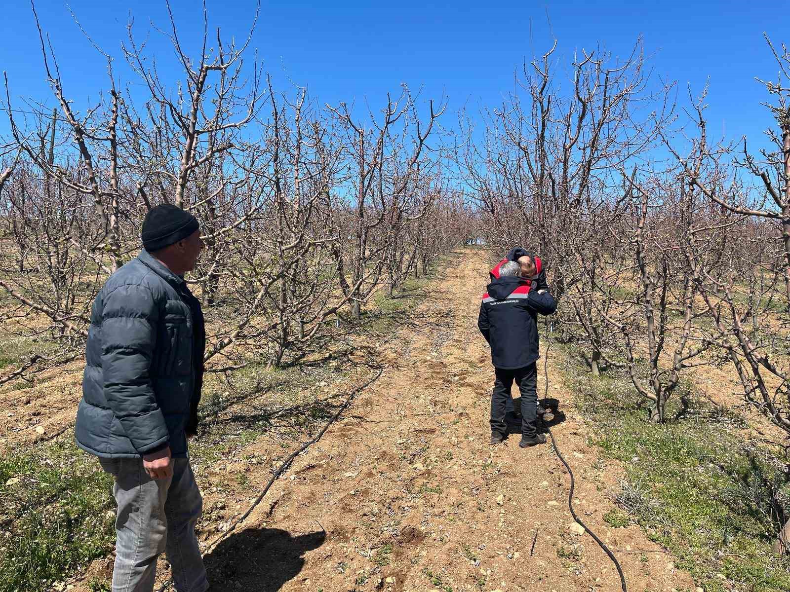 Konya’da yaşanan zirai don için hasar tespitine başlandı