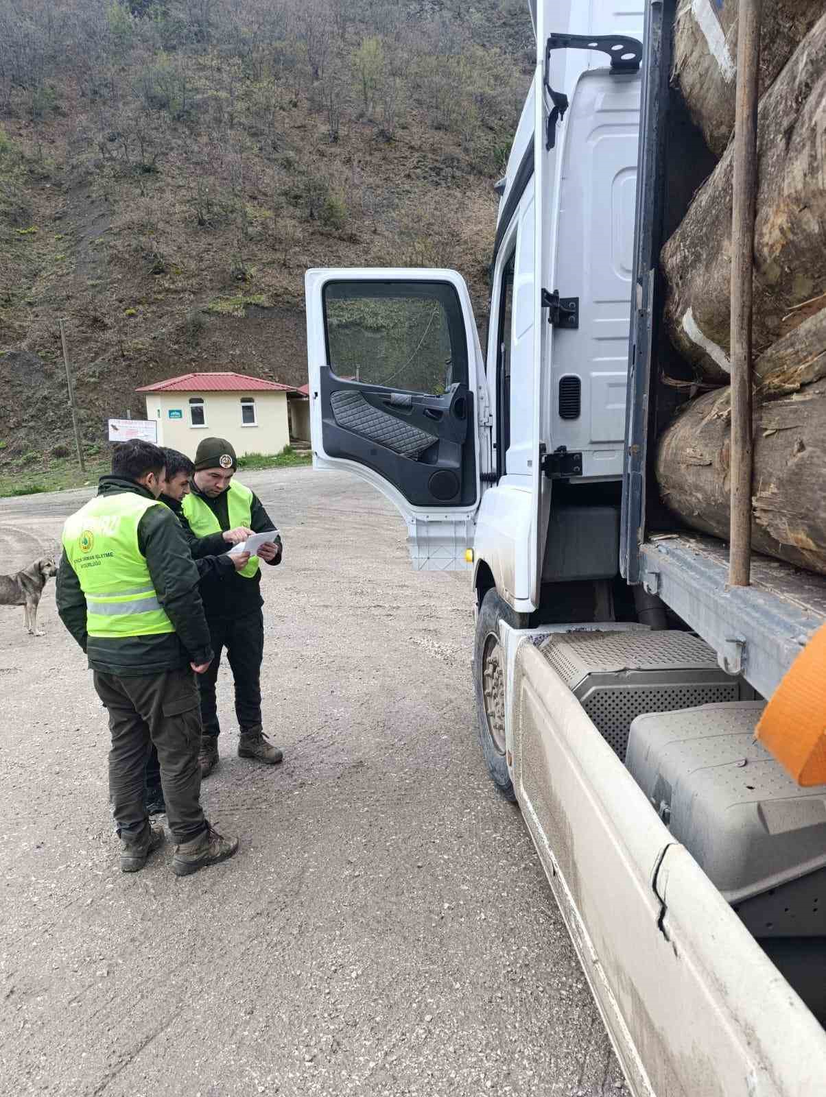 Sinop&rsquo;ta orman ka&ccedil;ak&ccedil;ılığına karşı denetim
