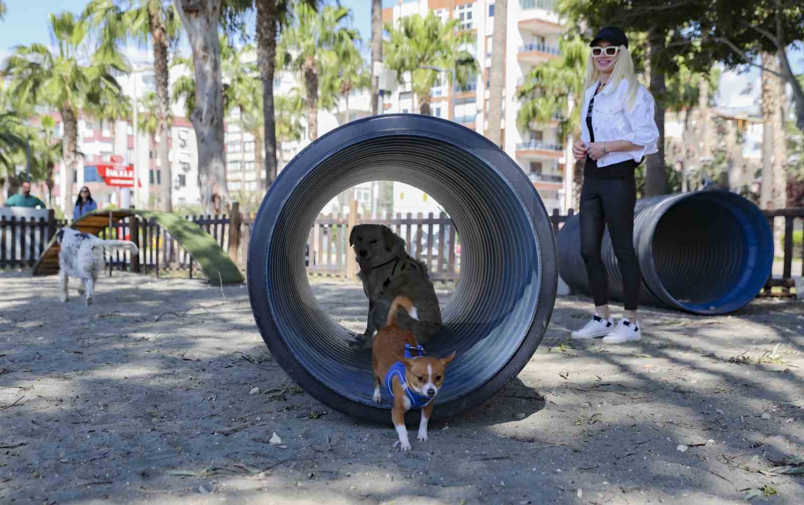 Mersin’den patili dostlara özel oyun parkı