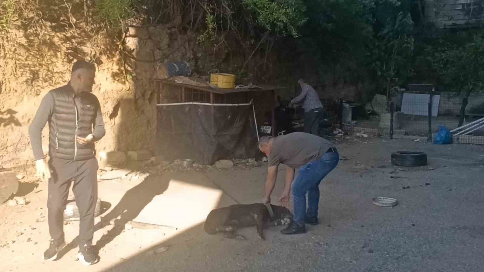 B&ouml;ylesi ilk defa g&ouml;r&uuml;ld&uuml;, motosikletini sakladığı yer jandarmayı bile şaşkına &ccedil;evirdi
