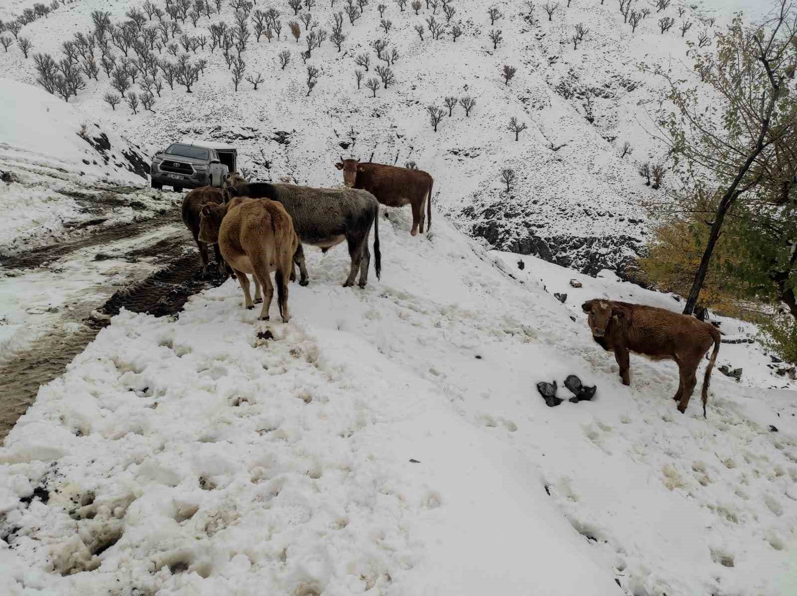 Batman’da nisan ayında kar çilesi: 60 yerleşim yerinin yolu ulaşıma kapandı