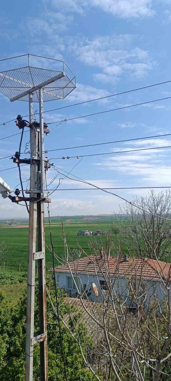 Edirne&rsquo;de leylekler i&ccedil;in elektrik direklerine yuvalar yerleştirildi
