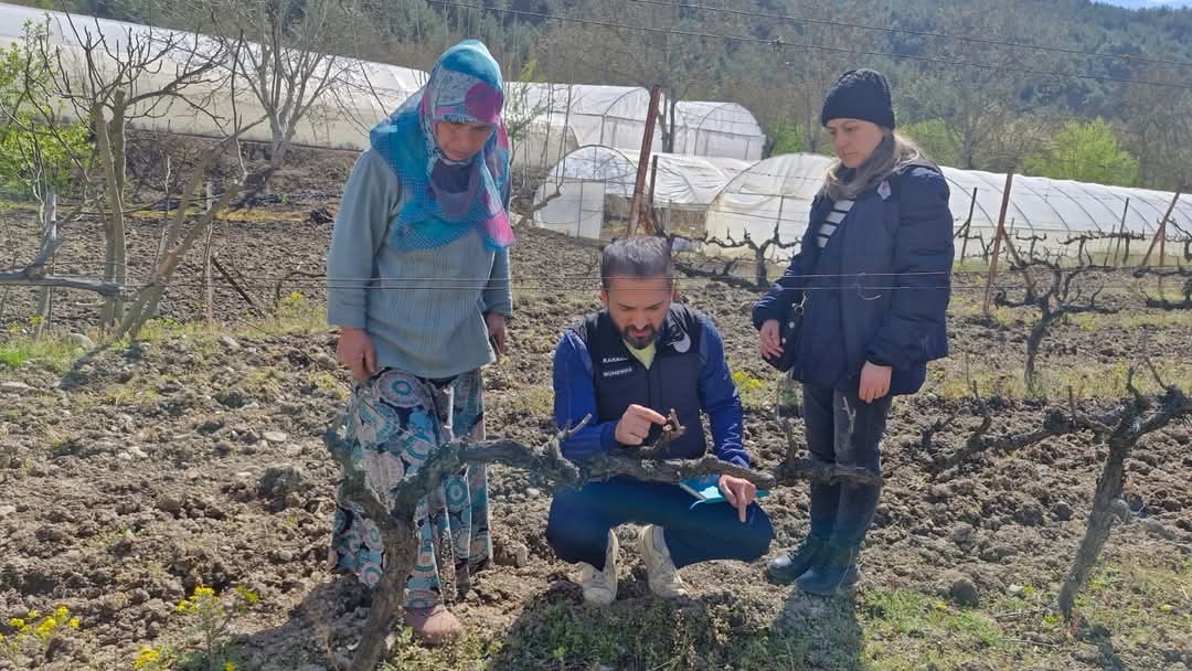 Tarım alanlarında "zarar tespit" incelemesi
