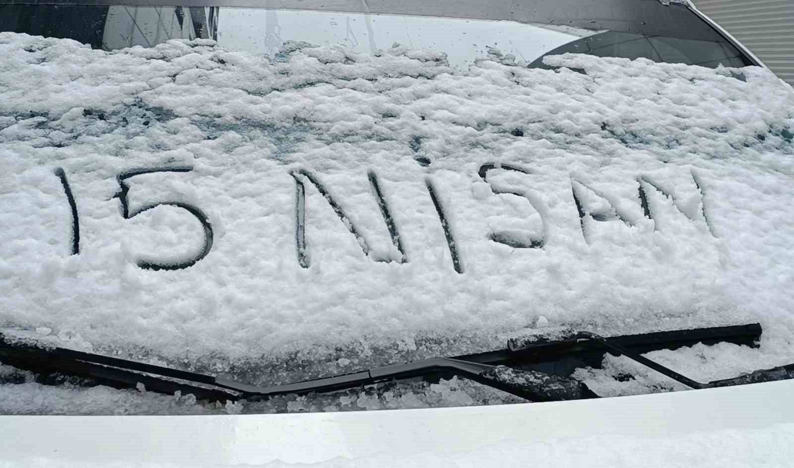 Van&rsquo;da nisan s&uuml;rprizi: &Ccedil;i&ccedil;ek a&ccedil;an ağa&ccedil;lara kar yağdı
