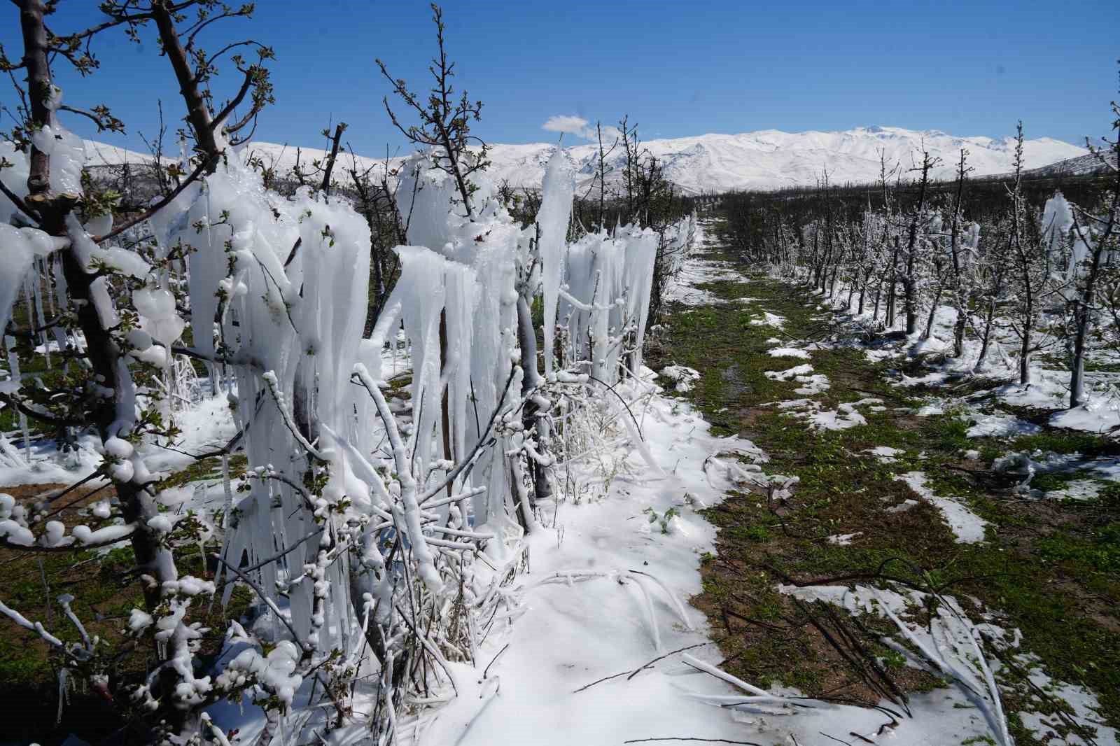 Niğde’de meyve bahçeleri zirai dondan etkilendi