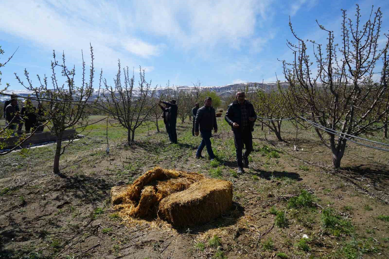 Niğde&rsquo;de meyve bah&ccedil;eleri zirai dondan etkilendi
