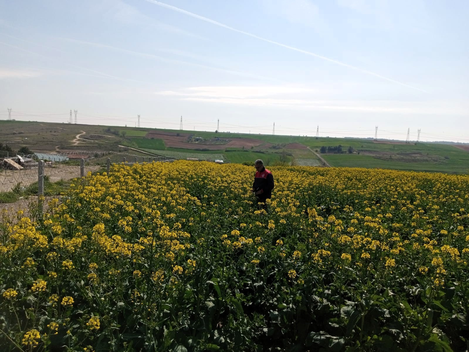 Kırklareli’nde zirai dona karşı hasar tespit başladı