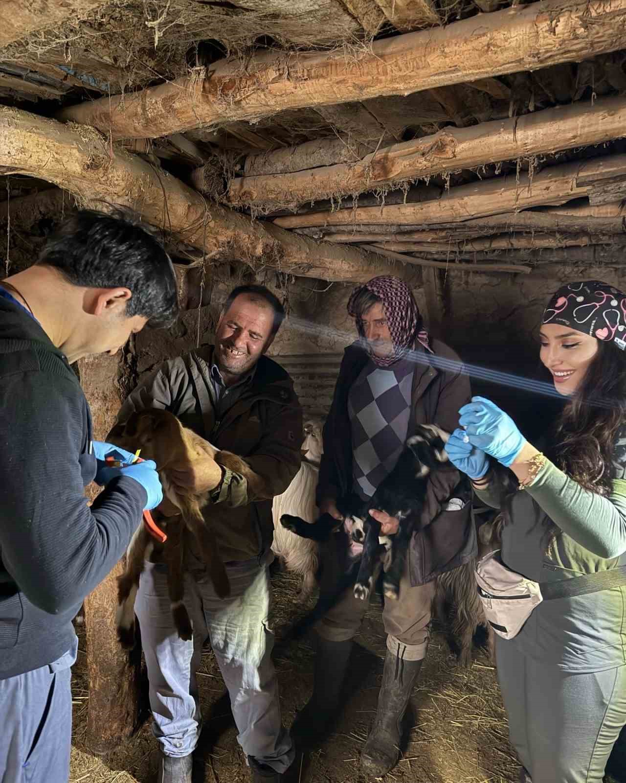 Elazığ&rsquo;da aşılama ve k&uuml;peleme &ccedil;alışmaları s&uuml;r&uuml;yor
