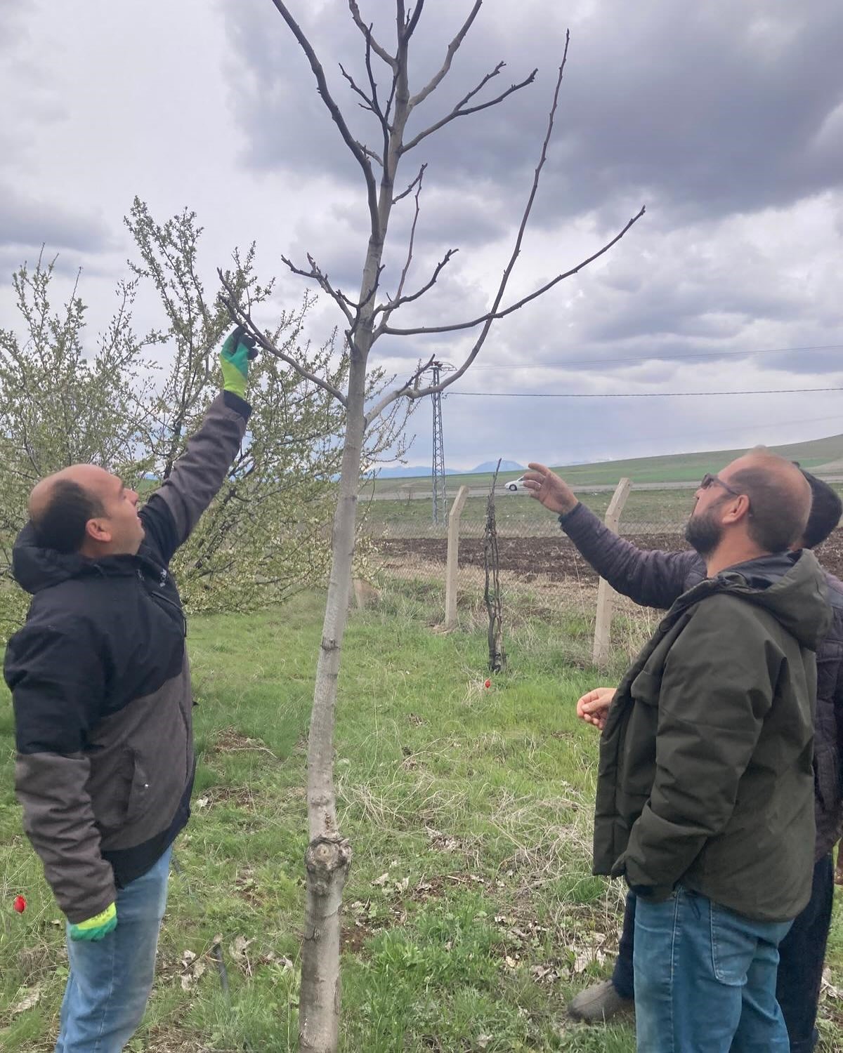 Elazığ&rsquo;da zirai don sonrası hasar tespit &ccedil;alışmaları s&uuml;r&uuml;yor
