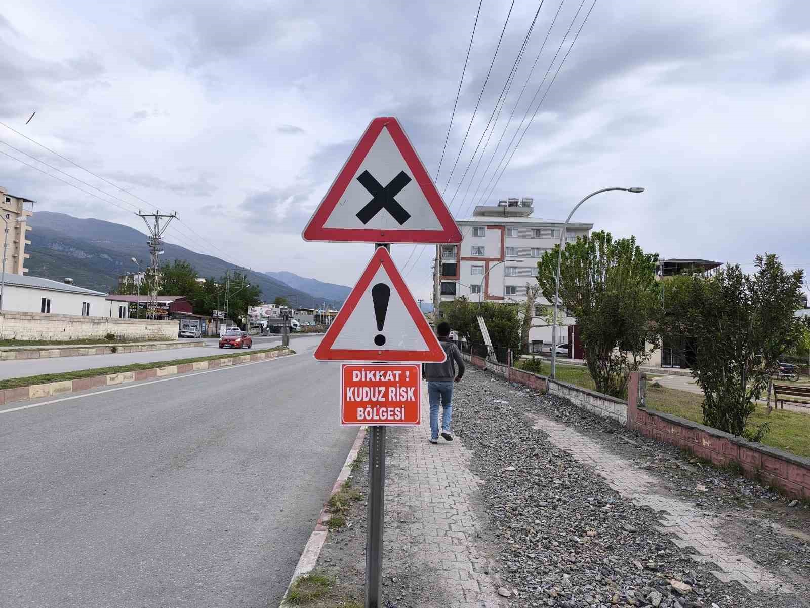 Sokak köpeğiyle boğuşarak telef olan sahipli köpekte kuduz görüldü